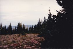 1993phil 022