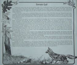 2005stndr_024