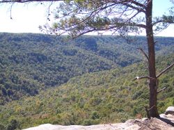 2005stndr_043