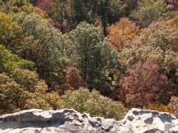 2010stonedoor_012