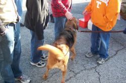 2010sprcamp 0067