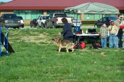 2010sprcamp 0089