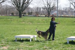 2010sprcamp 0162