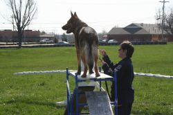 2010sprcamp 0164
