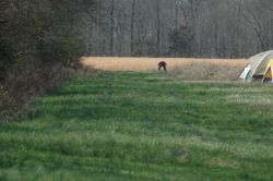 2010sprcamp 0307