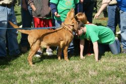 2010sprcamp 0419