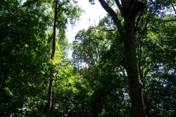2010sumcamp 0041