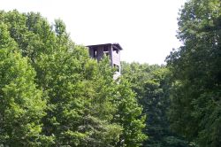 2010sumcamp 0133