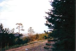 2002phil_033