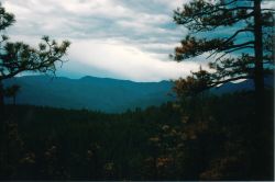 2002phil_100
