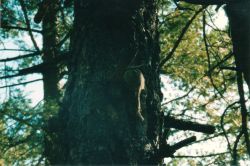 2002phil_102
