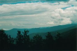 2002phil_131
