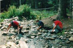 2002phil_181