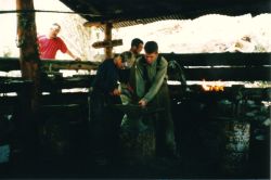 2002phil_184