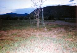 2002phil_198