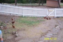 2006phil_o2_0090