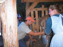 2006phil_o2_0092