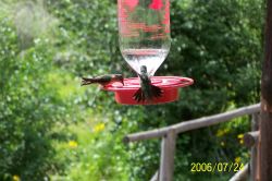 2006phil_o2_0161