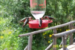 2006phil_o2_0163