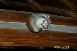 2006phil_o2_0170