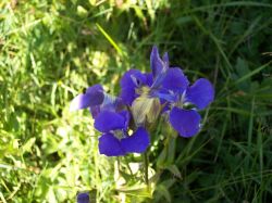 2006phil_o2_0220