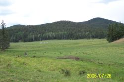 2006phil_o2_0276