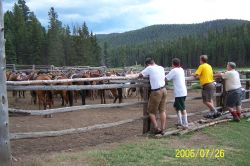 2006phil_o2_0279