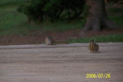 2006phil_o2_0314