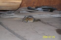 2006phil_o2_0315