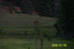 2006phil_o2_0316