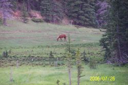 2006phil_o2_0317
