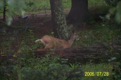 2006phil_o2_0335