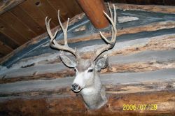 2006phil_o2_0391