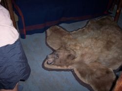 2006phil_o2_0399
