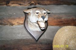 2006phil_o2_0401