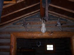 2006phil_o2_0406