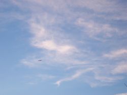 2006phil_o2_0435