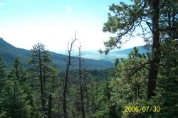 2006phil_o2_0465