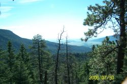 2006phil_o2_0466