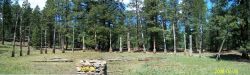 2006phil_o2_0480