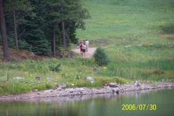 2006phil_o2_0501