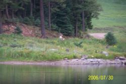 2006phil_o2_0514