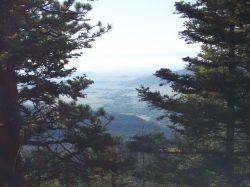 2006phil_o2_0627