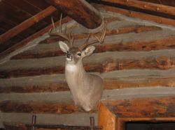 2011philpics_00656