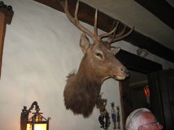 2011philpics_02165