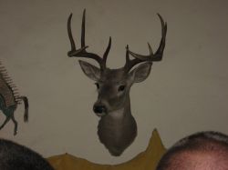 2011philpics_02169