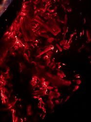 2023phil_0448
